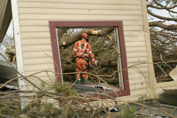 Trusted Grapeland, TX Tree Services Experts